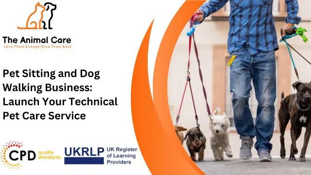 Pet Sitting and Dog Walking Business: Launch Your Technical Pet Care Service