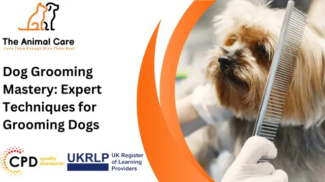 Dog Grooming : Expert Techniques for Grooming Dogs- CPD Accredited