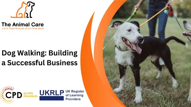 Dog Walking: Building a Successful Business