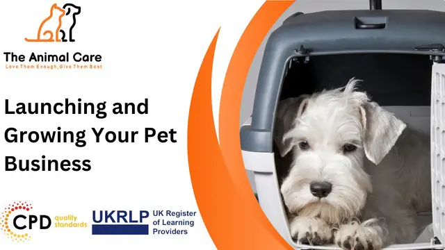 Launching and Growing Your Pet Business