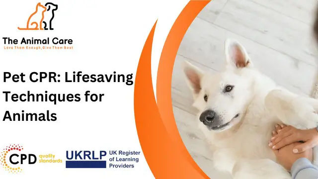 Pet CPR: Lifesaving Techniques for Animals