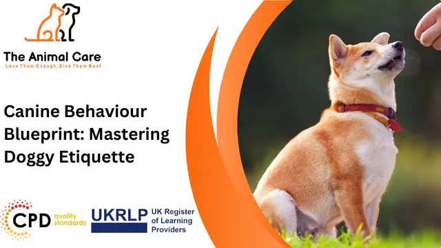 Canine Behaviour Blueprint: Mastering Doggy Etiquette