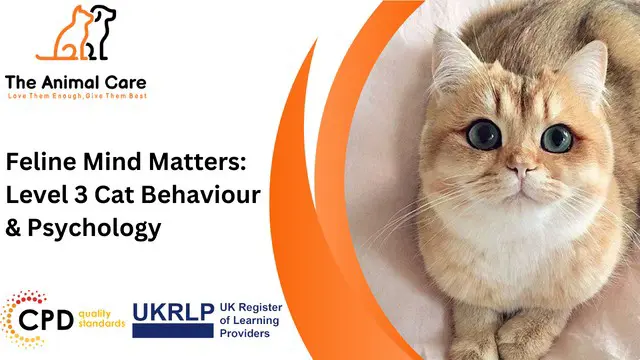 Feline Mind Matters: Level 3 Cat Behaviour & Psychology