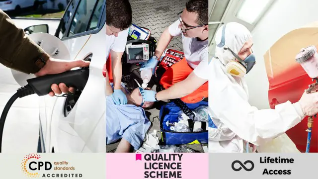 Hybrid Vehicle, Car Restoration and First Aid at Work - QLS Endorsed