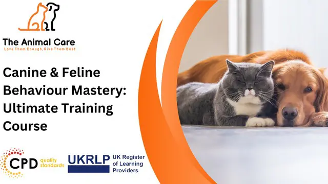 Canine & Feline Behaviour Mastery: Ultimate Training Course
