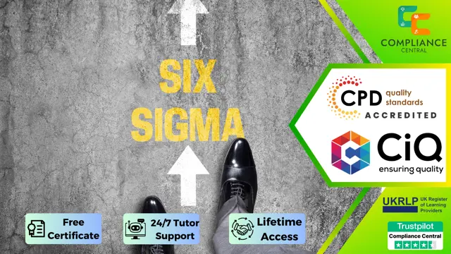 Lean Six Sigma Yellow Belt