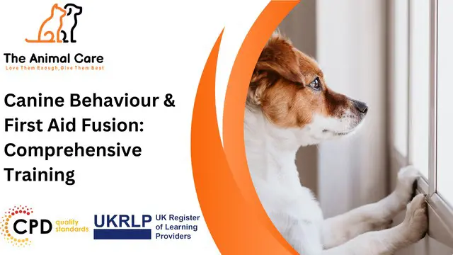 Canine Behaviour & First Aid Fusion: Comprehensive Training