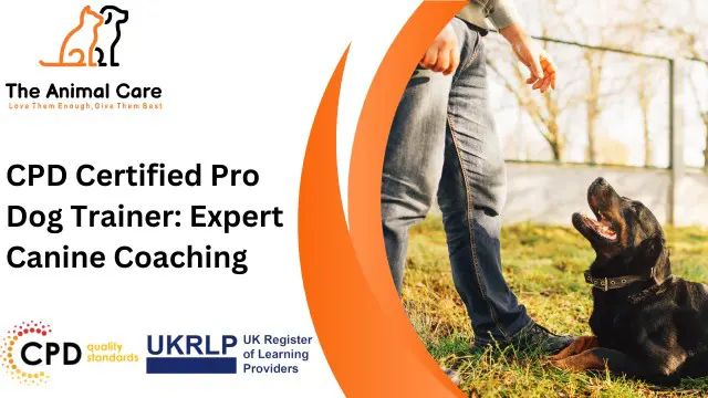 CPD Certified Pro Dog Trainer: Expert Canine Coaching