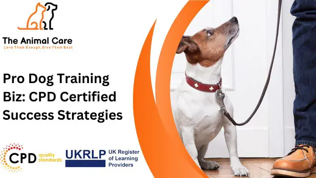 Pro Dog Training Biz: CPD Certified Success Strategies