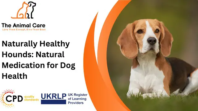 Naturally Healthy Hounds: Natural Medication for Dog Health