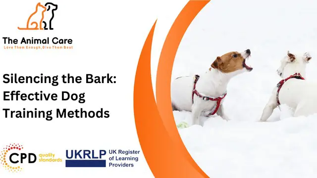 Silencing the Bark: Effective Dog Training Methods