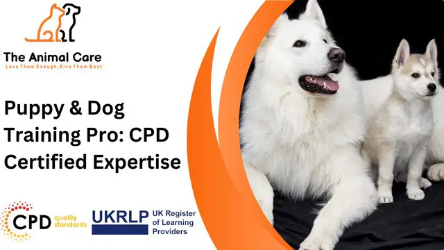 Puppy & Dog Training Pro: CPD Certified Expertise