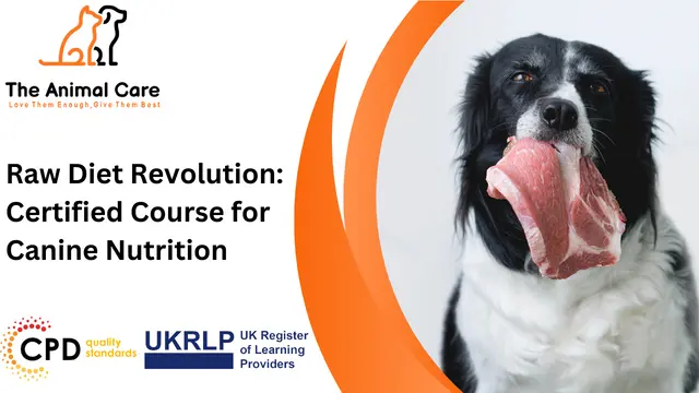 Raw Diet Revolution: Certified Course for Canine Nutrition
