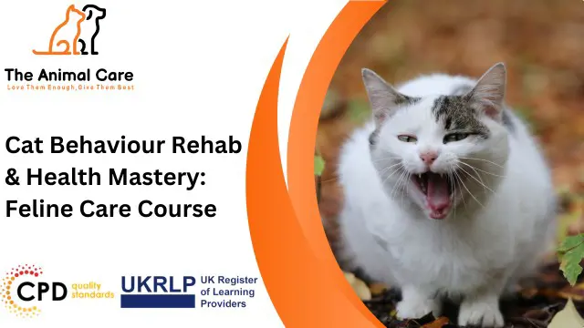Cat Behaviour Rehab & Health Mastery: Feline Care Course