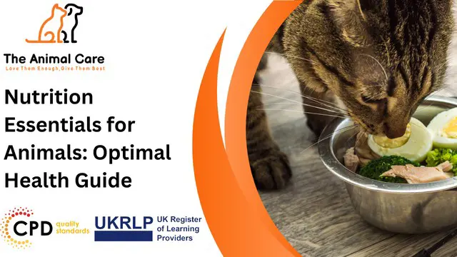 Nutrition Essentials for Animals: Optimal Health Guide