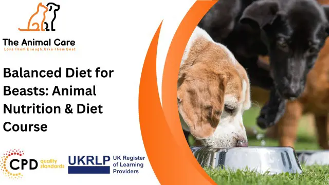 Balanced Diet for Beasts: Animal Nutrition & Diet Course
