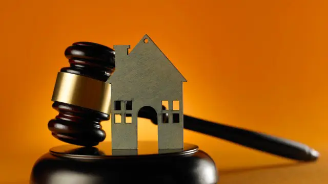 The Basics of Property Law