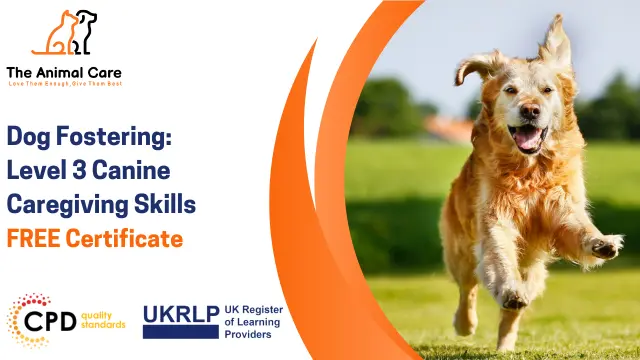Dog Fostering: Level 3 Canine Caregiving Skills