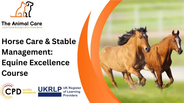 Horse Care & Stable Management: Equine Excellence Course