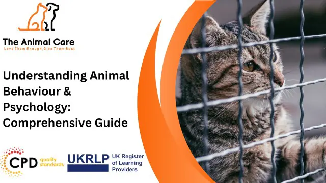 Understanding Animal Behaviour & Psychology: Comprehensive Guide