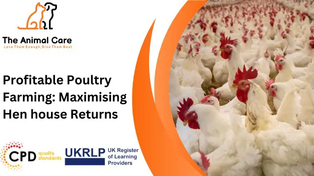 Profitable Poultry Farming: Maximising Hen House Returns