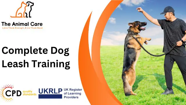 Complete Dog Leash Training