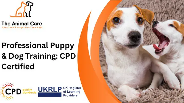 Professional Puppy & Dog Training: CPD Certified