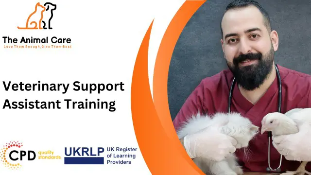 Veterinary Support Assistant Level 3- CPD Certified