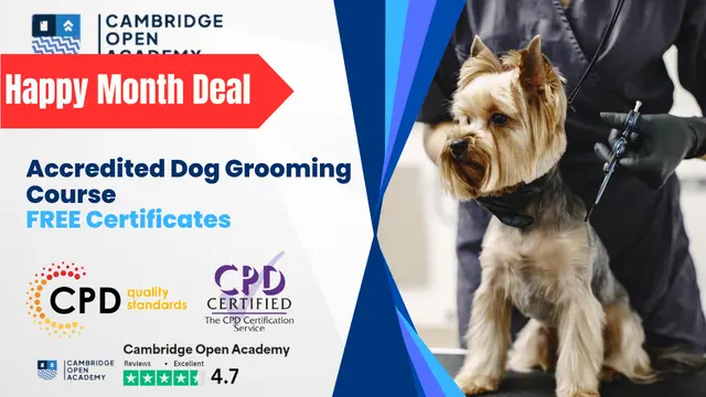 Accredited Dog Grooming Course