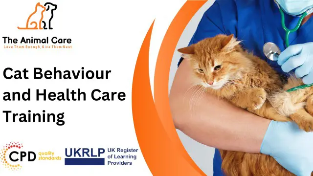 Cat Behaviour and Health Care Training
