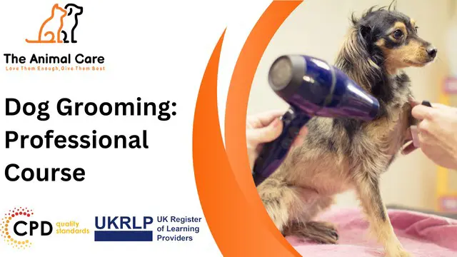 Dog Grooming: Professional Course