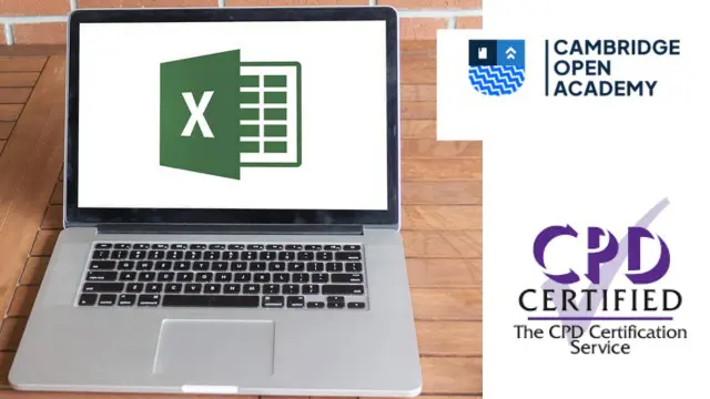 Microsoft Excel: Excel from Beginner to Advanced
