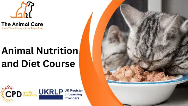 Animal Nutrition and Diet Course