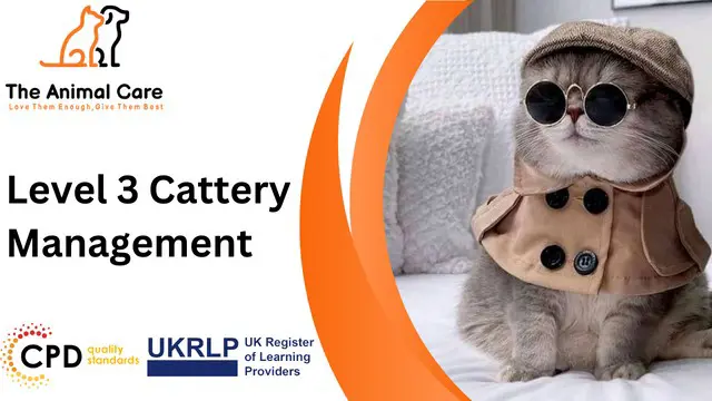 Level 3 Cattery Management