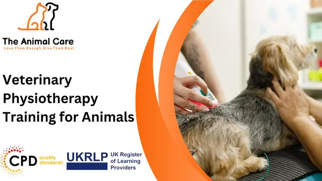 Veterinary Physiotherapy Training for Animals