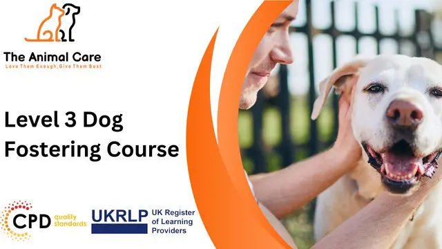 Level 3 Dog Fostering Course
