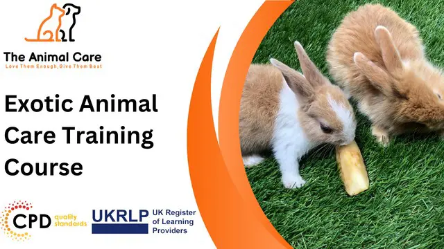 Exotic Animal Care Training Course