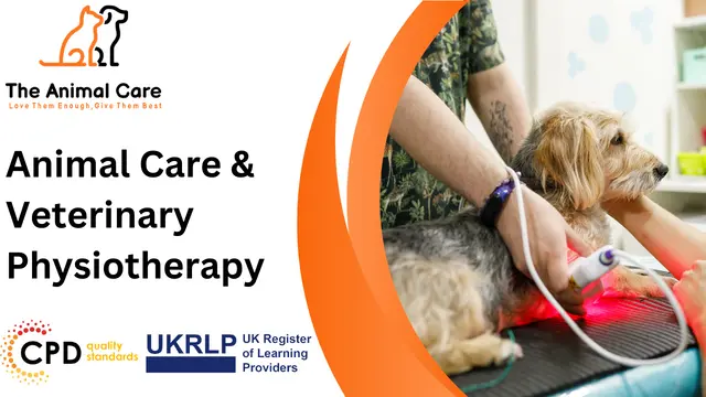 Animal Care & Veterinary Physiotherapy