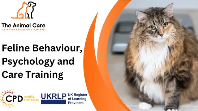 Feline Behaviour, Psychology and Care Training Course