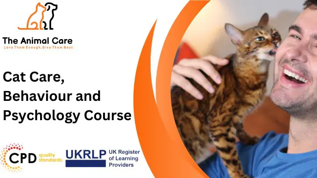 Cat Care, Behaviour and Psychology Course