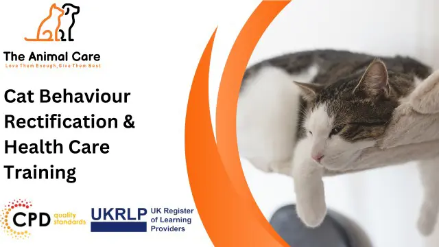 Cat Behaviour Rectification & Health Care Training