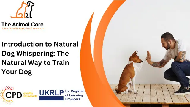Introduction to Natural Dog Whispering: The Natural Way to Train Your Dog