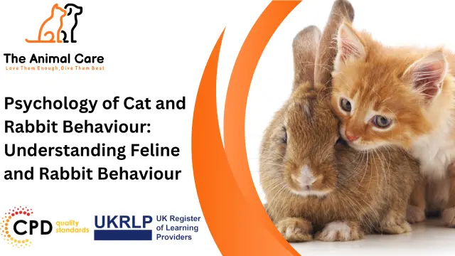 Psychology of Cat and Rabbit Behaviour: Understanding Feline and Rabbit Behaviour