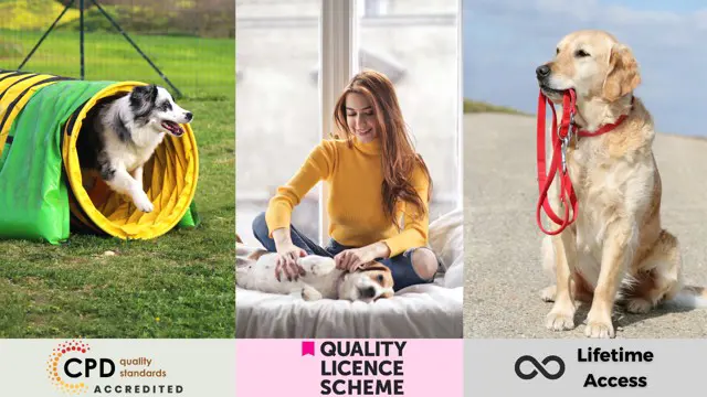 Pet Sitting, Dog Leash and Agility Training- QLS Endorsed Bundle