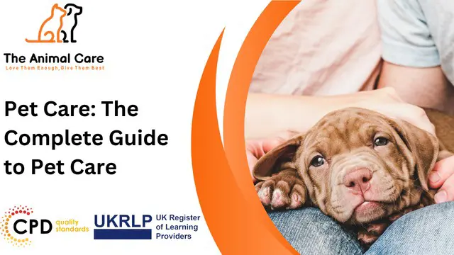 Pet Care: The Complete Guide to Pet Care