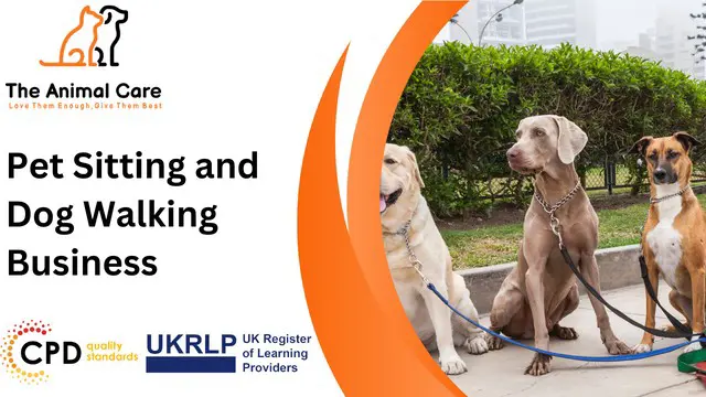 Pet Sitting and Dog Walking Business