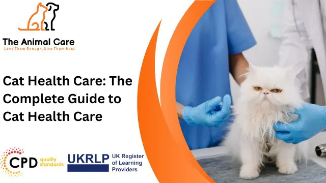 Cat Health Care: The Complete Guide to Cat Health Care