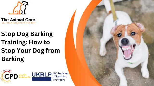 Stop Dog Barking Training: How to Stop Your Dog from Barking