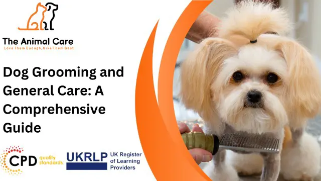 Dog Grooming and General Care: A Comprehensive Guide