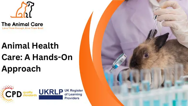 Animal Health Care: A Hands-On Approach